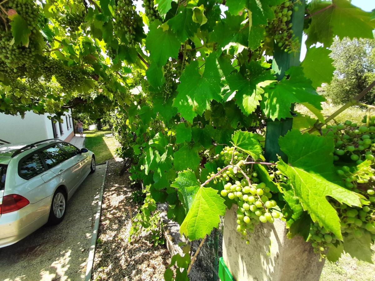Apartman Fiorini Zofija - B&B