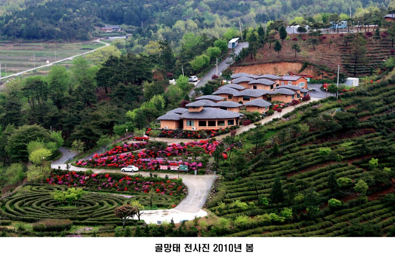 B&B Boseong - Golmangtae Pension - Bed and Breakfast Boseong