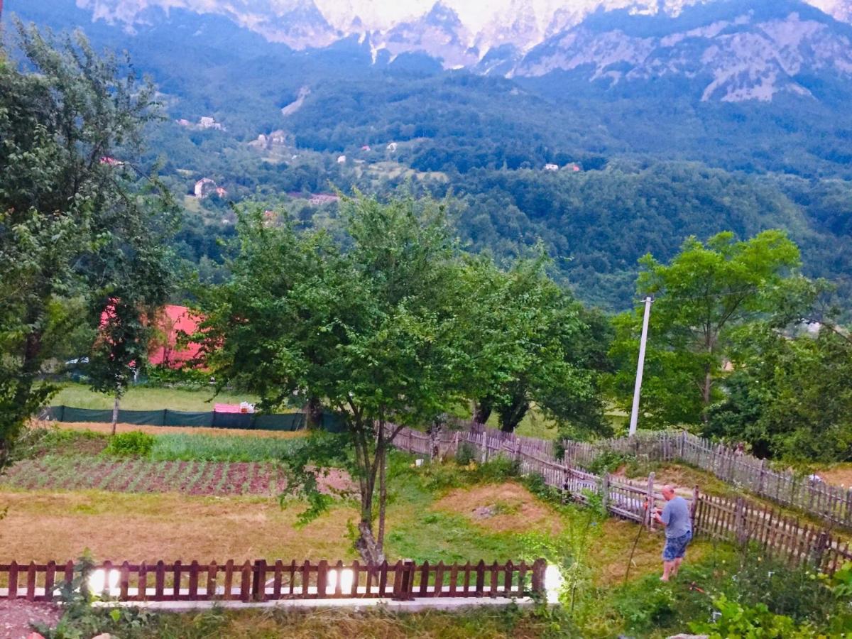 Guest House Rrashkadoli - B&B