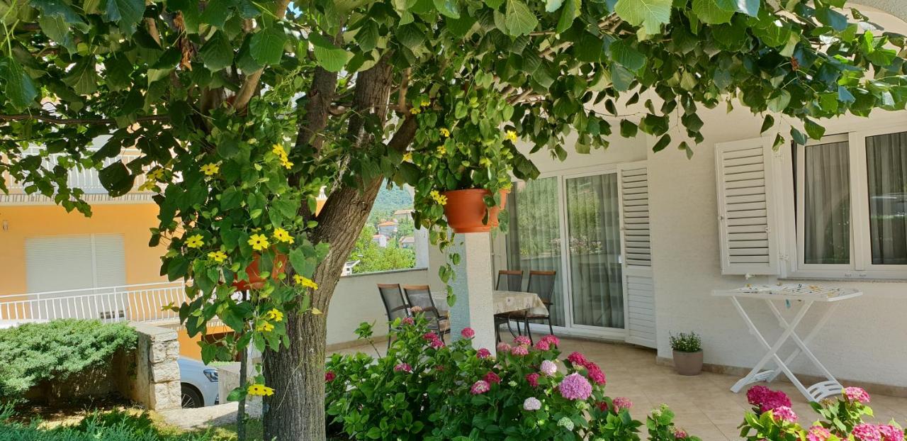 Apartment Nina - B&B