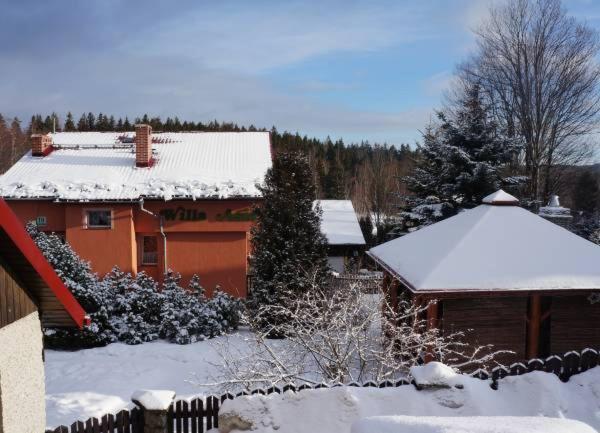 Willa Asia - apartamenty - Chambres d'hôtes Szklarska Poręba