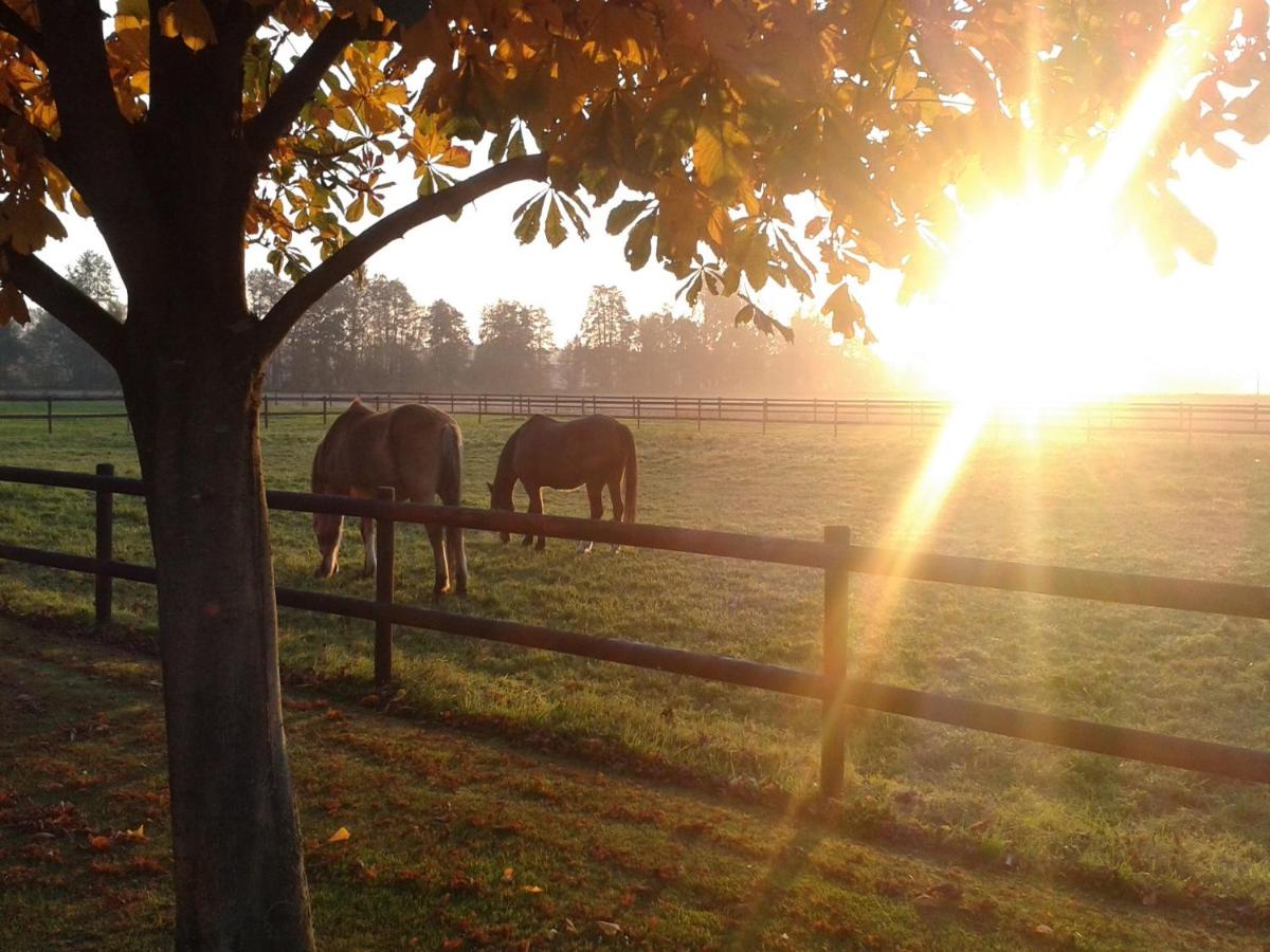 B&B Sonsbeck - Ferienhof Schattmann - Bed and Breakfast Sonsbeck