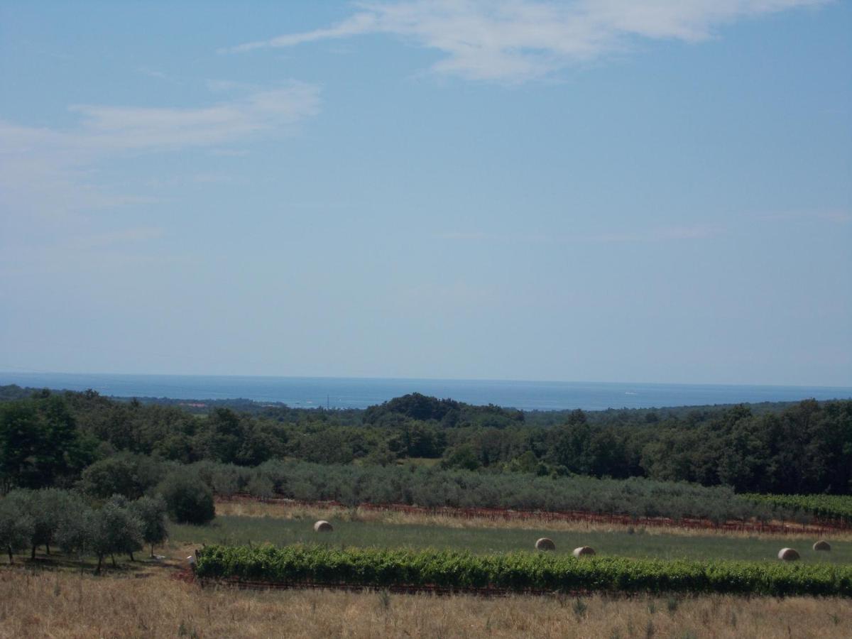 Appartement - Vue sur Mer