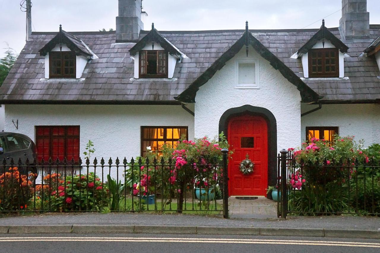 Ivy Cottage B&B - B&B