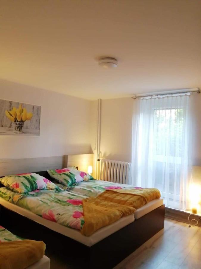 B&B Kielce - noclegi Julia - Bed and Breakfast Kielce