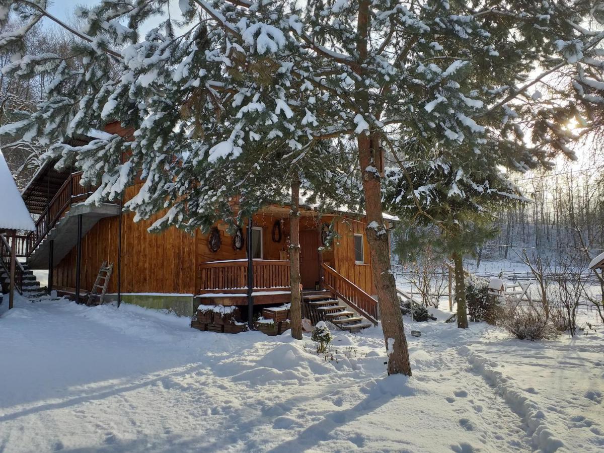 Świerkowe Rancho - Ferienwohnung