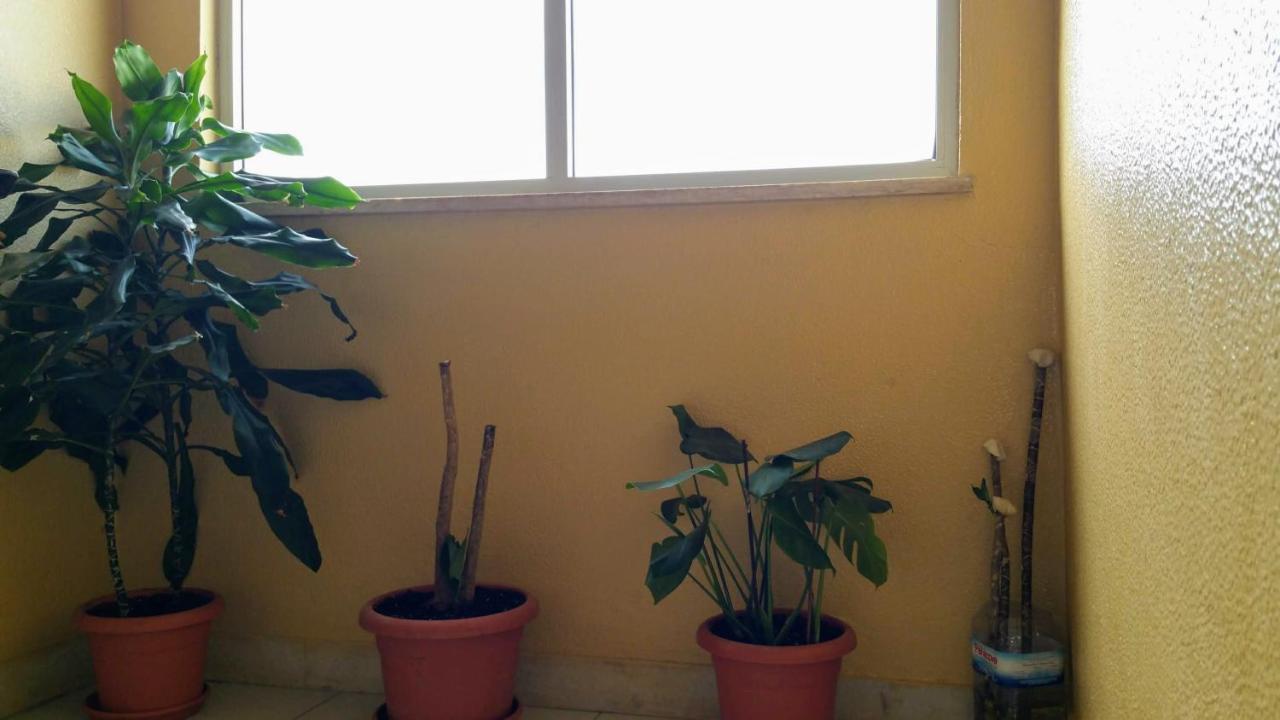 D.ANA GUESTHOUSE - B&B
