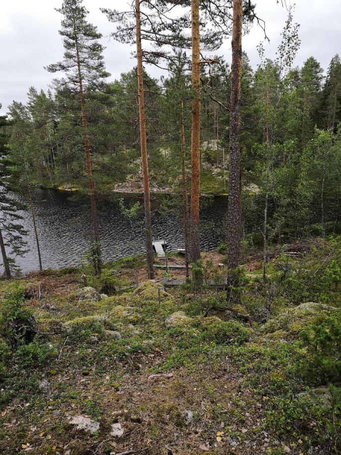 Tontti - Ferienwohnung Petääjärvi