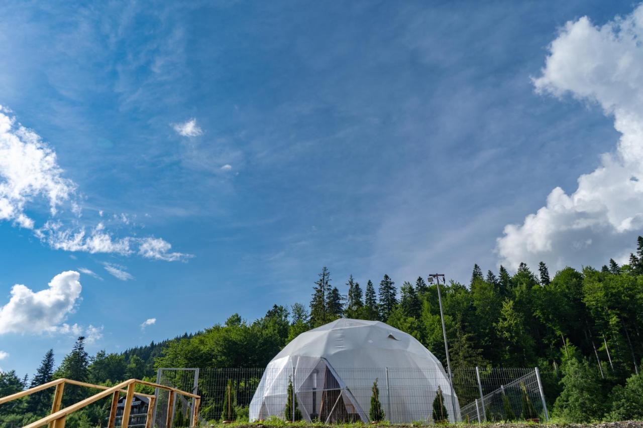 Wegloo - B&B