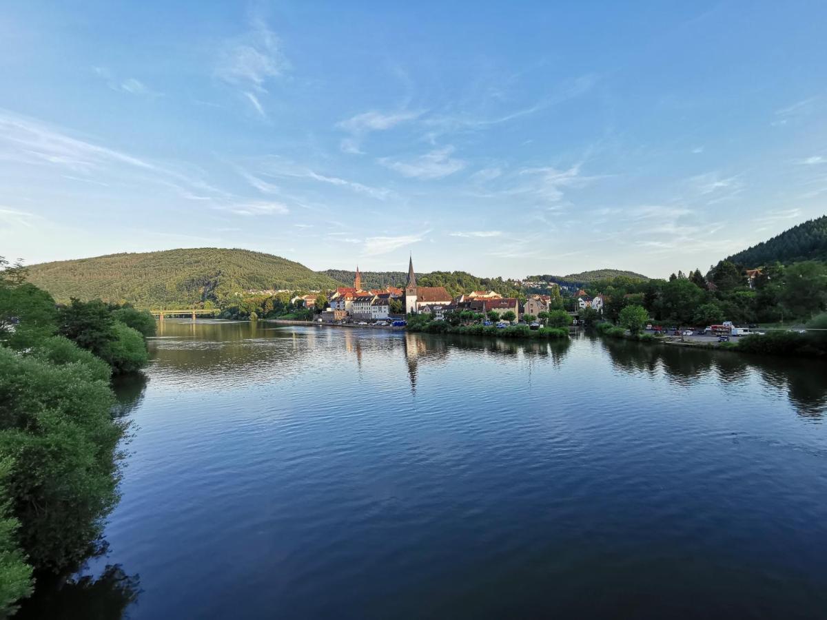 Ferienwohnungen Flussufer - Neckargemünd Altstadt - Ferienwohnung