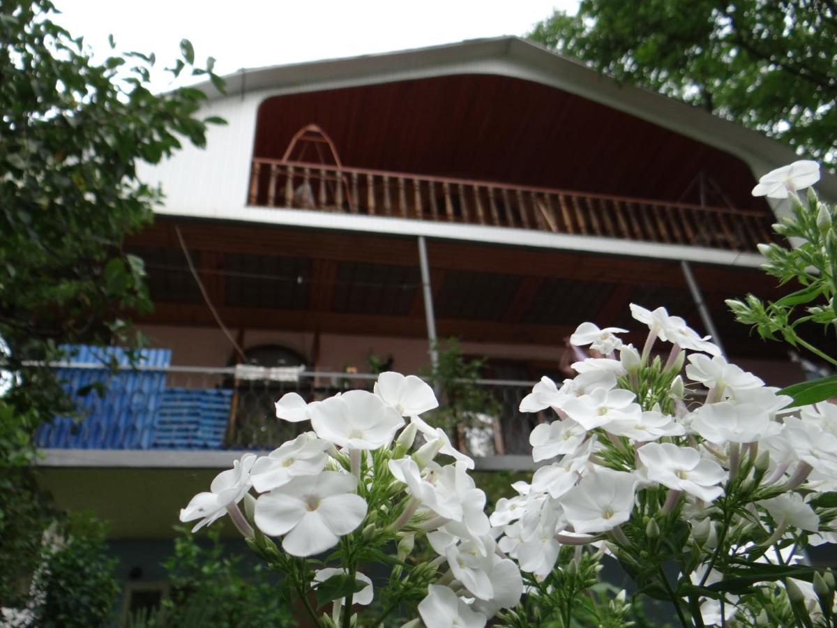 B&B Bordzjomi - Dalko - Bed and Breakfast Bordzjomi