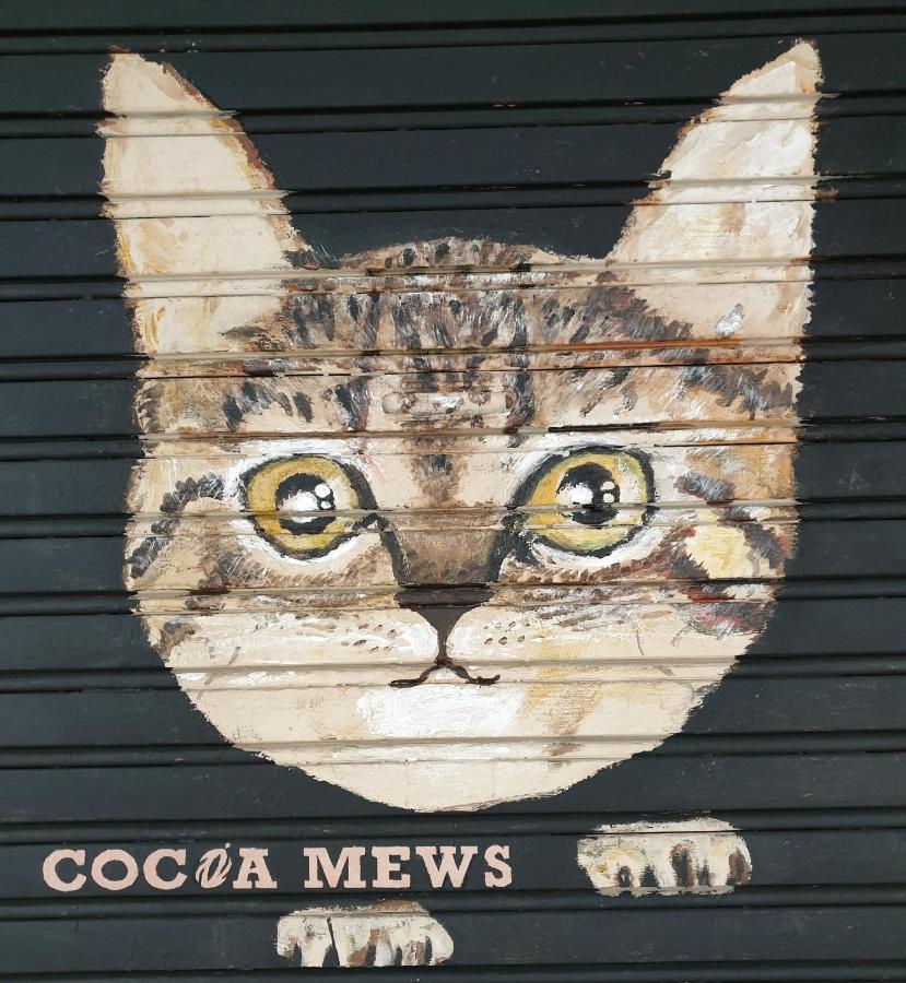 Cocoa Mews Cafe and Homestay - B&B