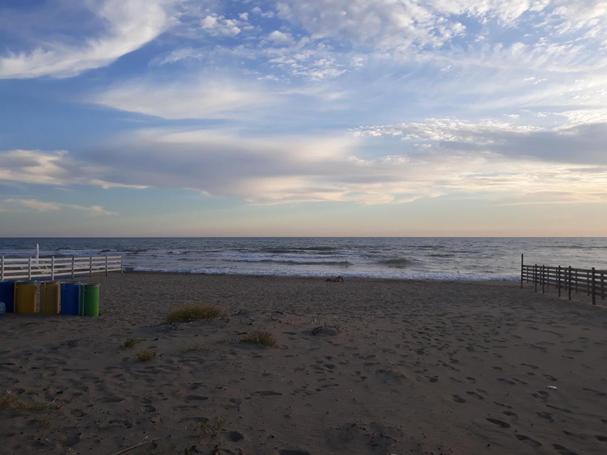 Villa Marisa Paestum - B&B Pesto