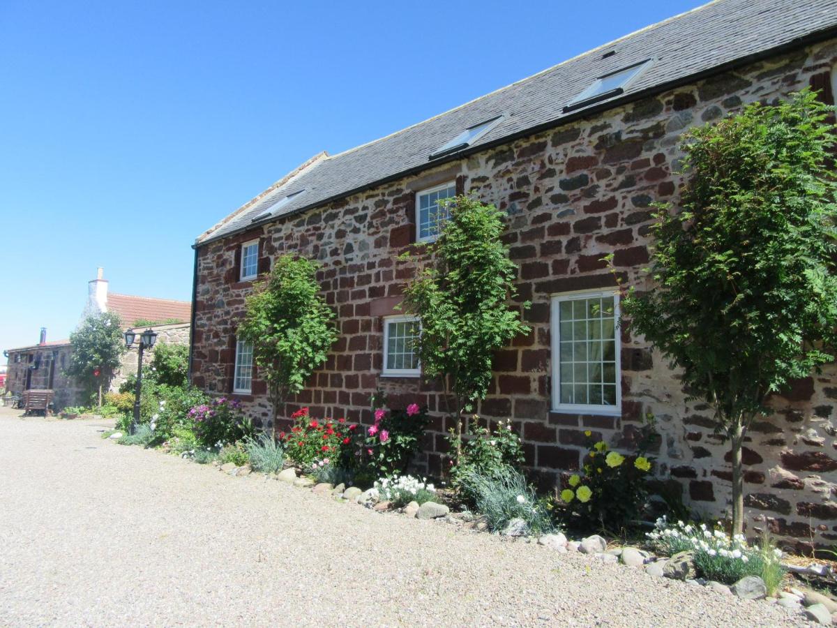 Mill Of Nethermill Holidays - B&B