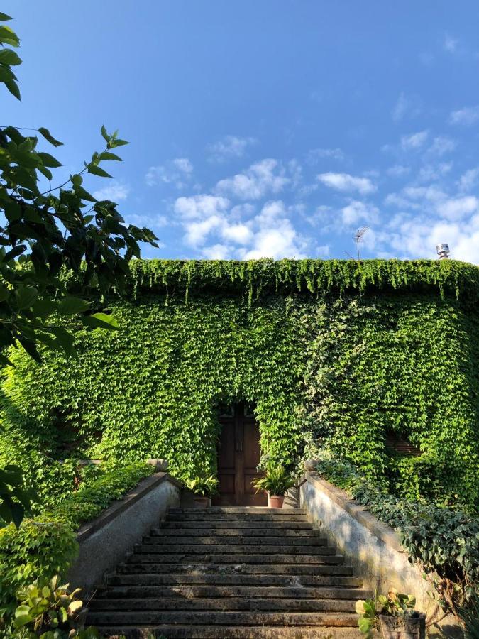 B&B Corte Vo Grande - B&B Pegognaga