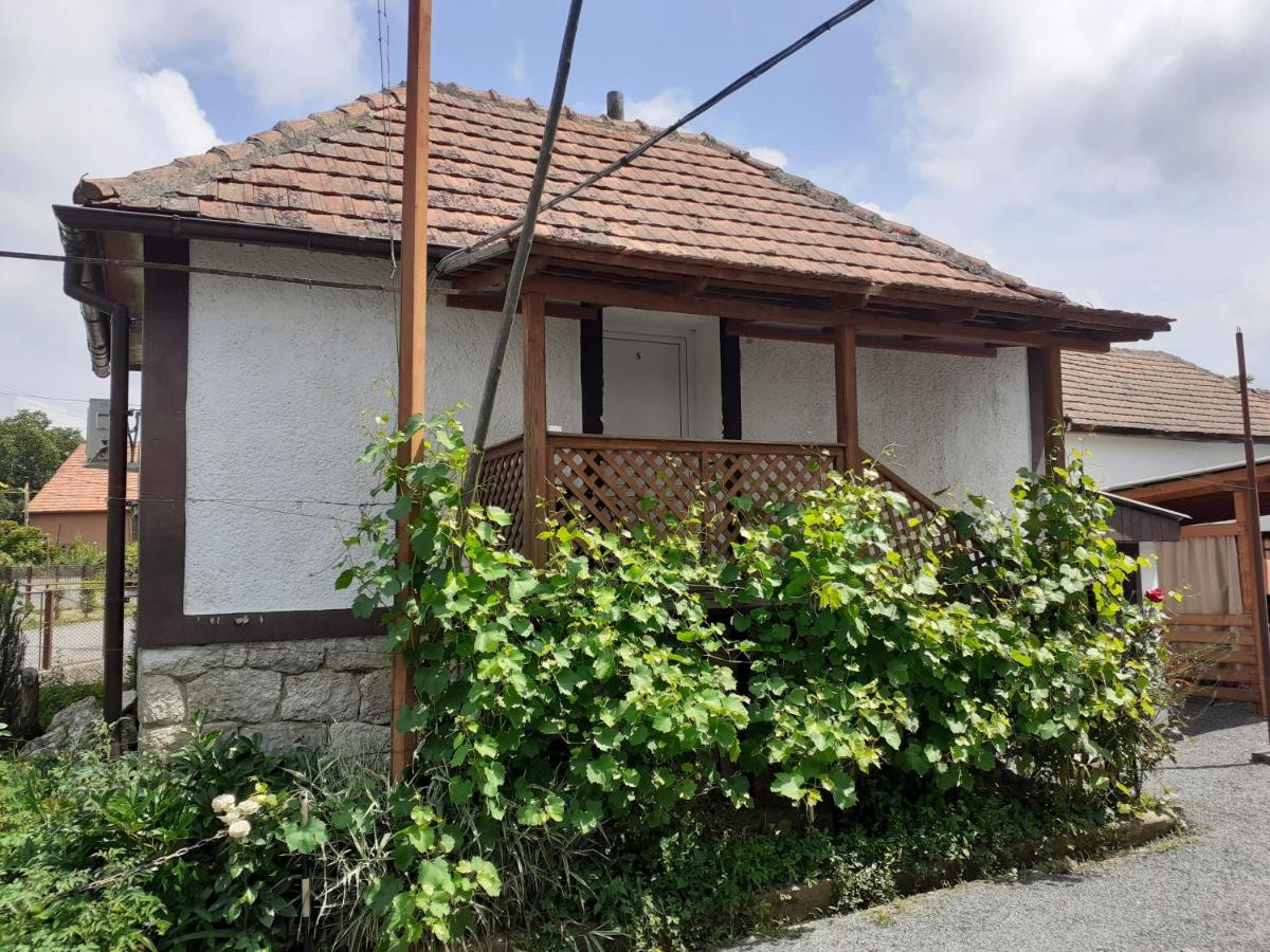 Villa Elena - B&B Yanoshi