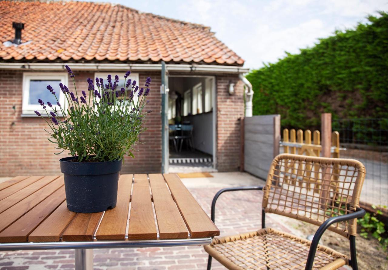 Lavender Lodge - B&B