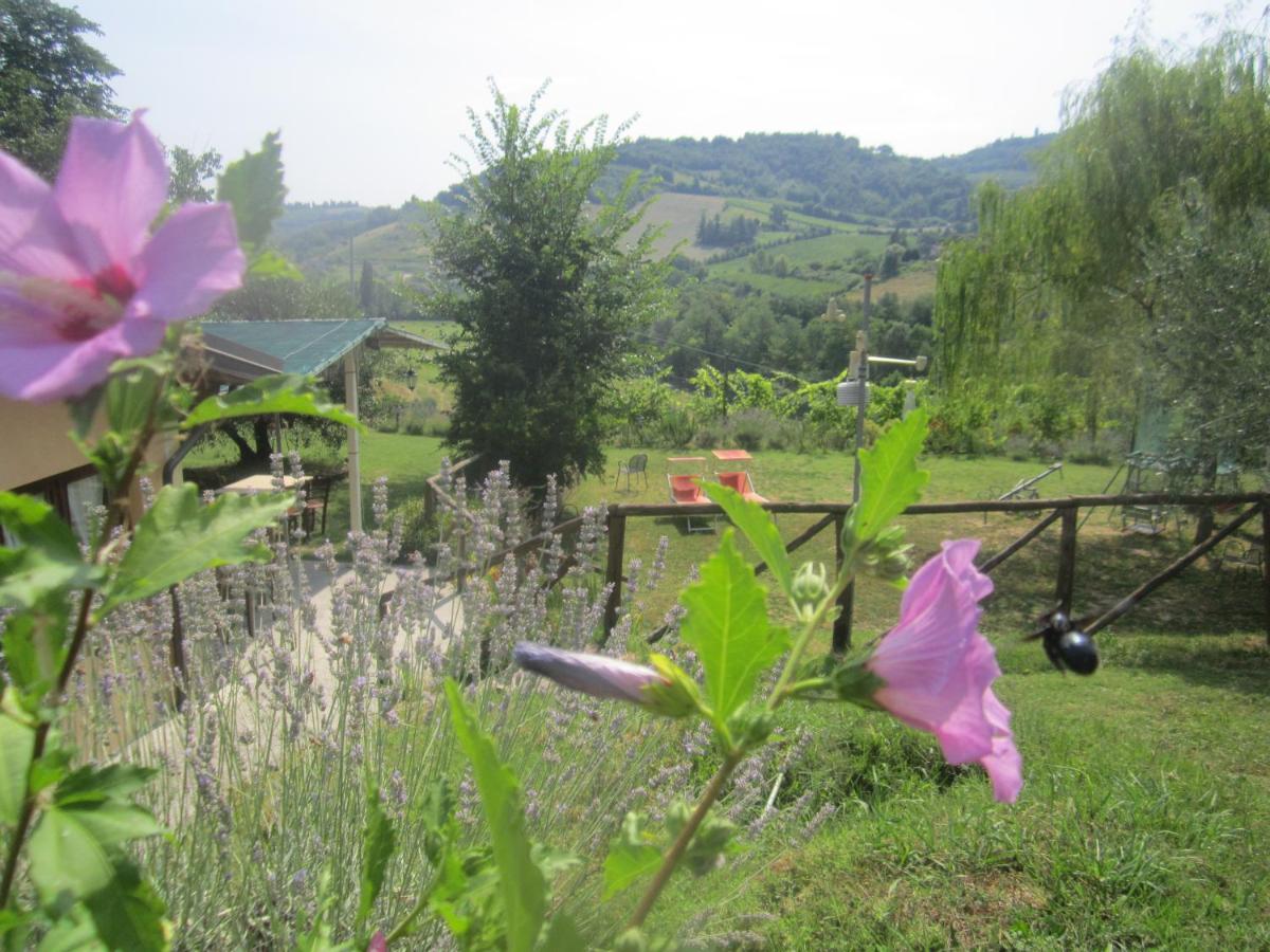 B&B Cesena - Le Spighe Agriturismo - Bed and Breakfast Cesena