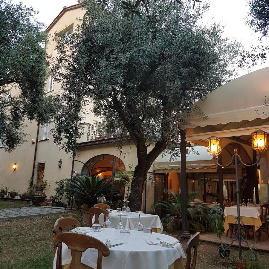 Antico Uliveto - Chambres d’hôtes Seravezza