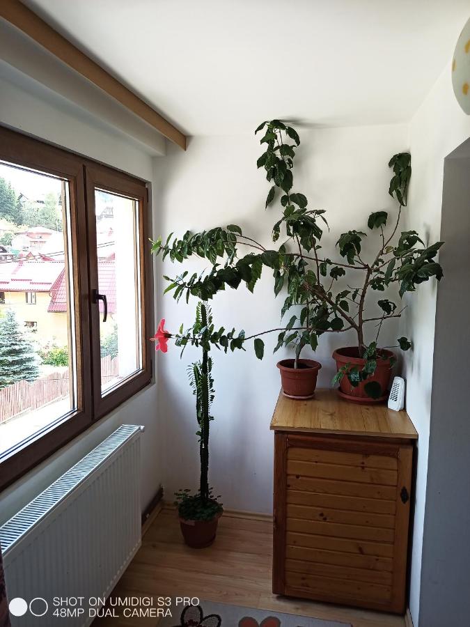 Habitación Doble Deluxe con ducha