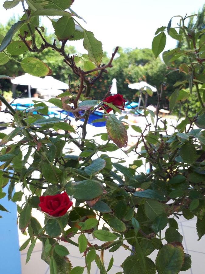 Villa - Côté Plage