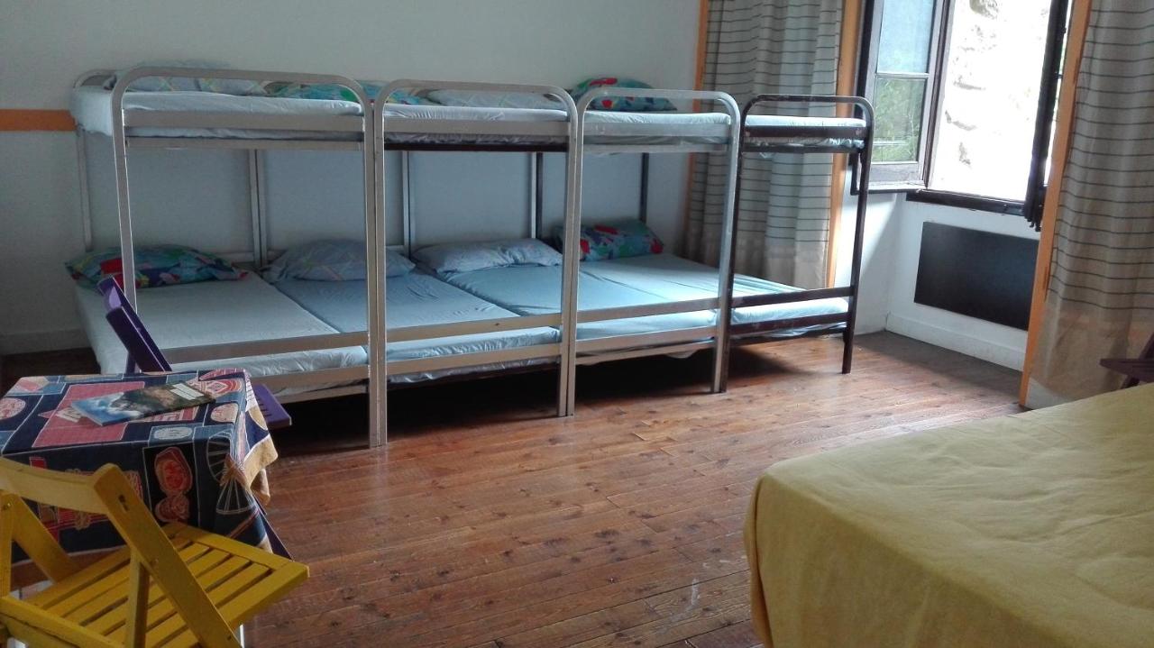 Bunk Bed in Mixed Dormitory Room