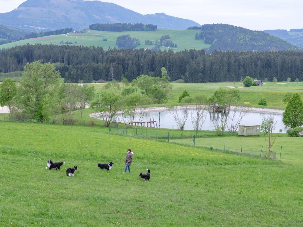 Almenland Apartment Passail - B&B Passail