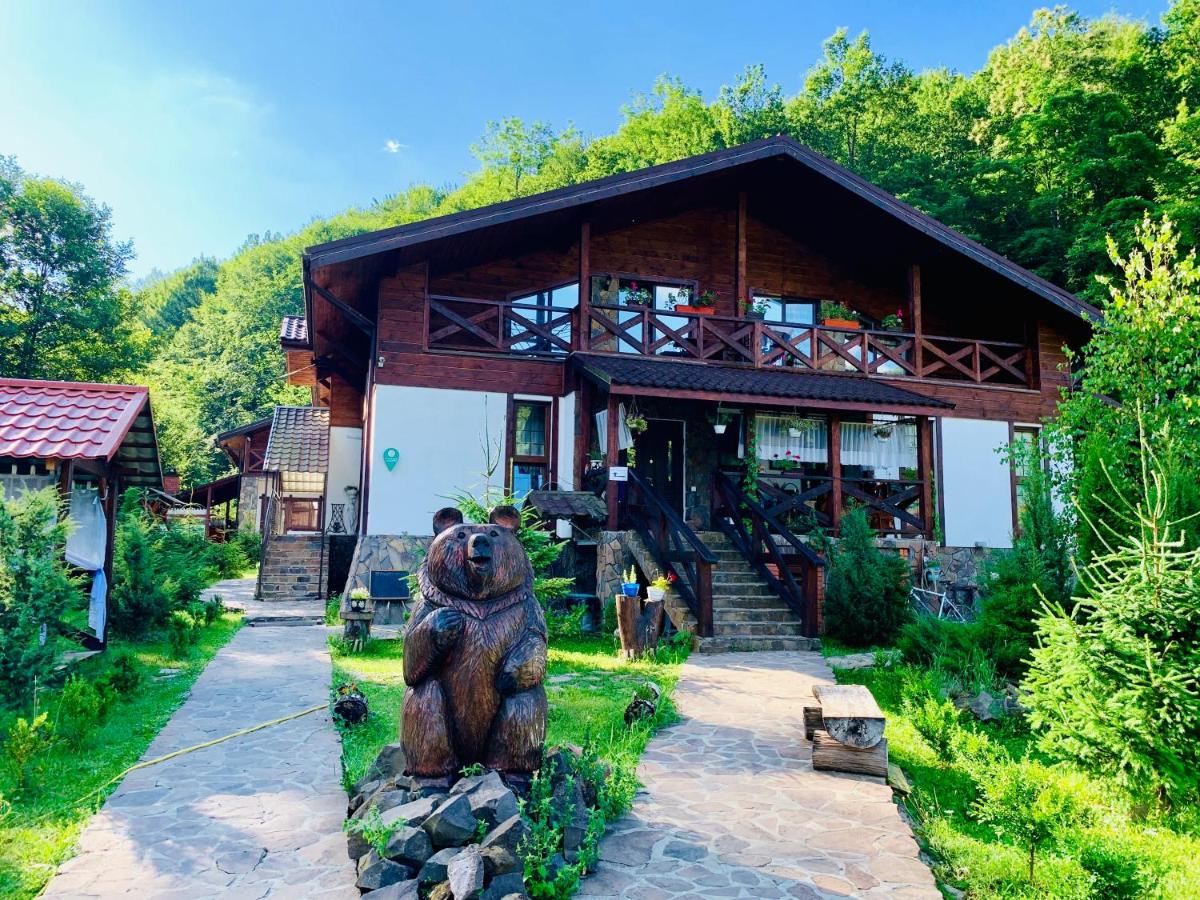 B&B Poliana - Chalet Vedmezhe - Bed and Breakfast Poliana