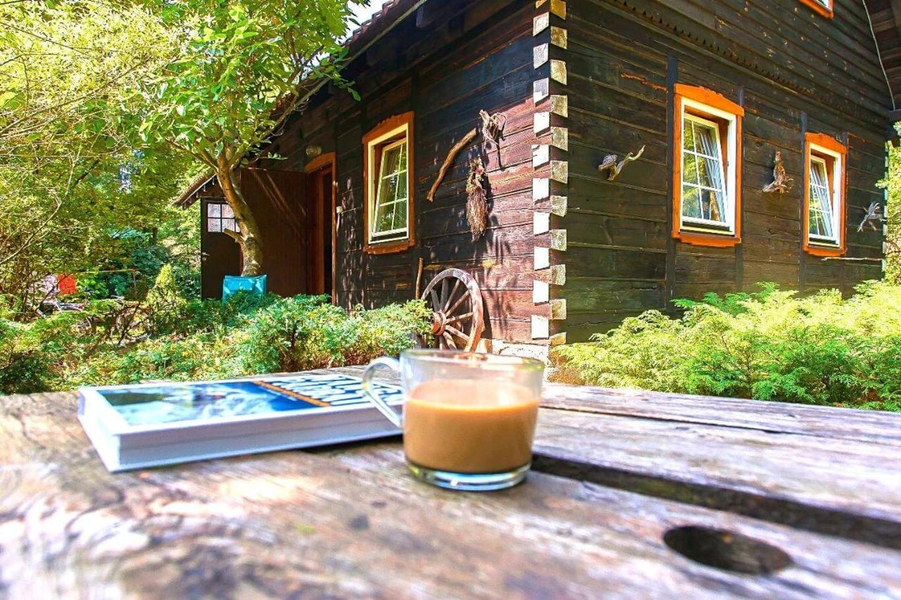 Dom ukryty przed światem - Szeroki Bór - Bed and Breakfast Ruciane-Nida