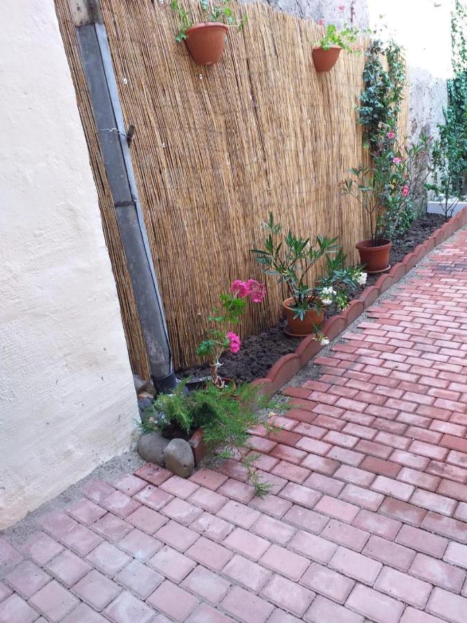 Sara House - B&B Bistriţa