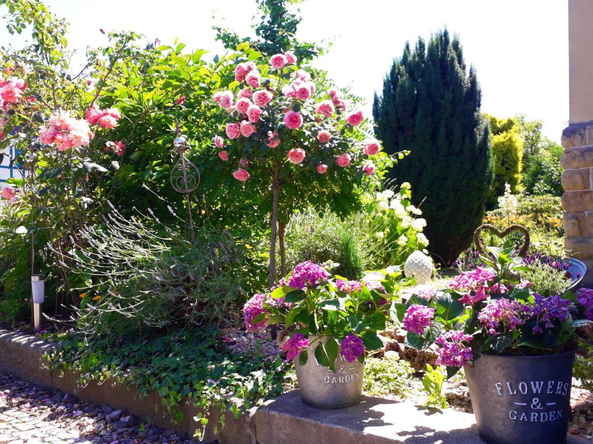 VILLA FREIA Dresden - Exklusive Ferienwohnung zum Erholen & Entspannen - Bed and Breakfast Dresden