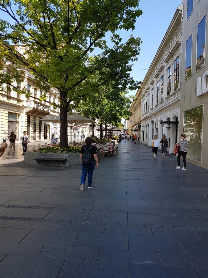 Jolie - Chambres d’hôtes