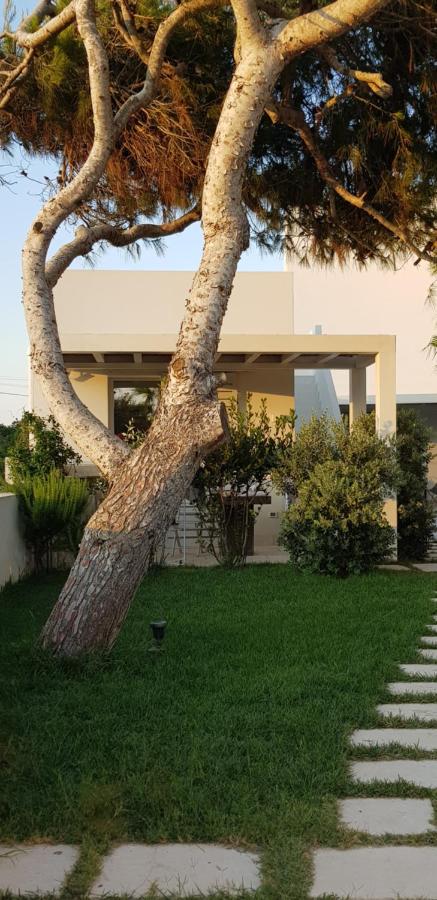 Casa Mirella - B&B Favignana