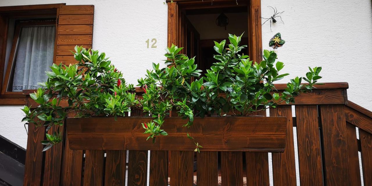 Casa Alpina - B&B