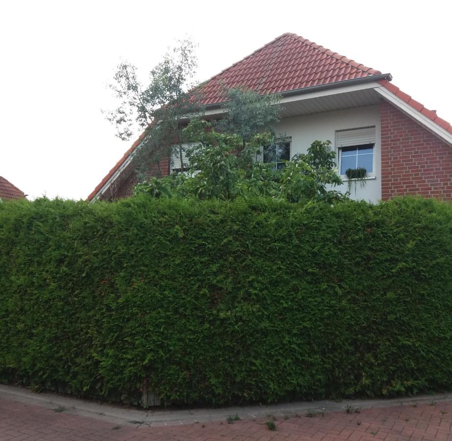 Studiozimmer an den Leineauen - B&B
