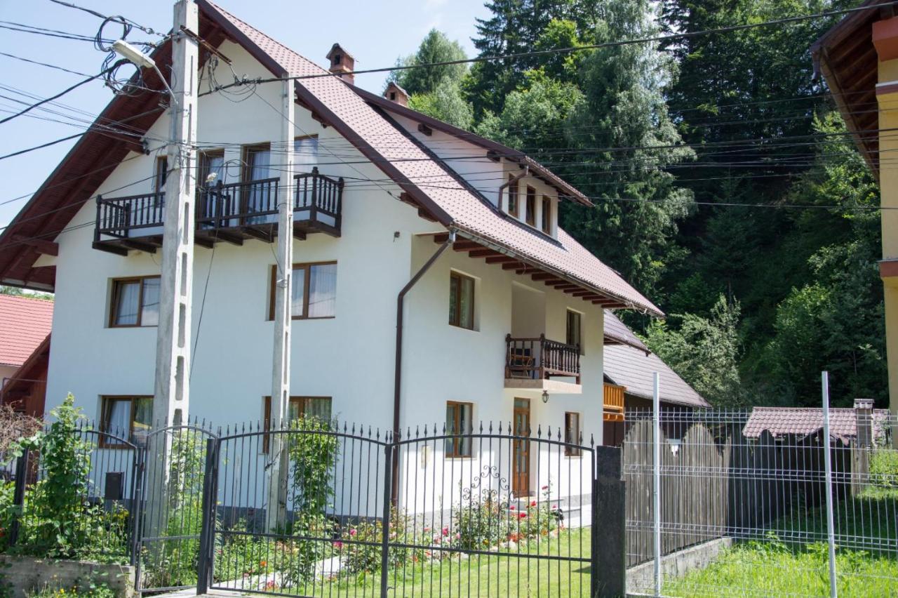 Green Forest Bran House - Chambres d’hôtes Bran