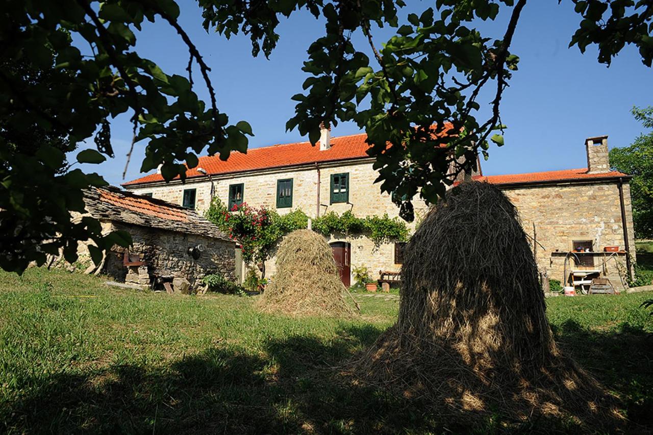 chevalier claudio - B&B Agnone