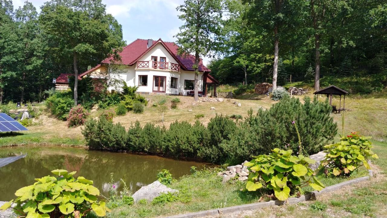 Apartament Bukowy Las - Ferienwohnung