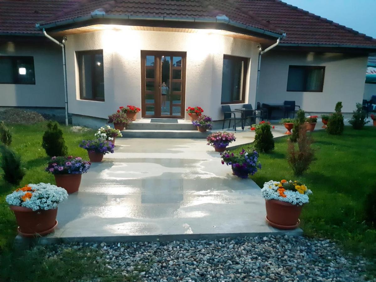 Casa Alin - B&B Haţeg