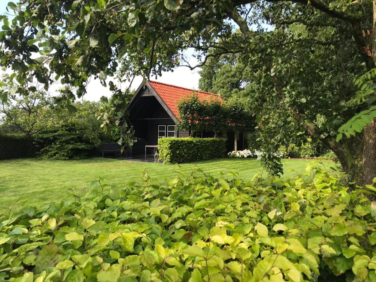 B&B Achthuizen - Polderhuus Galatheapolder - Bed and Breakfast Achthuizen