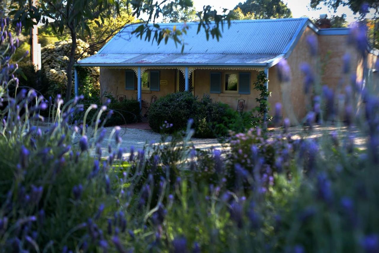 B&B Clare - Donnybrook Cottages - Donnybrook - Bed and Breakfast Clare