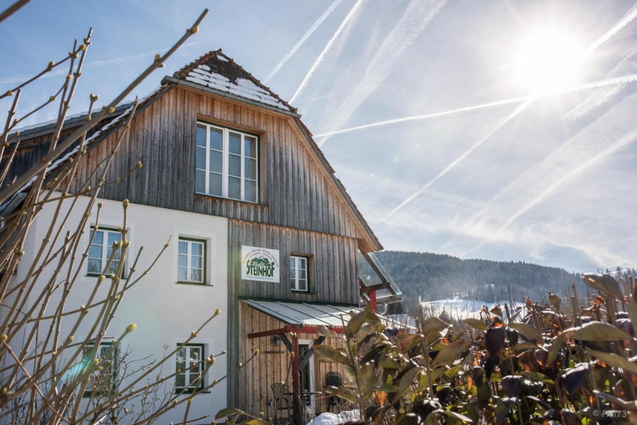 B&B Sankt Lorenzen ob Murau - Haus Steinhof - Bed and Breakfast Sankt Lorenzen ob Murau