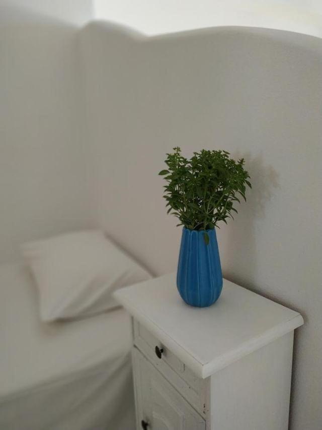 Studio (4 Adults)