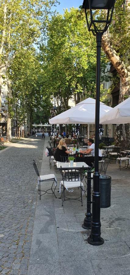 Lupino Apartments - B&B Belgrado