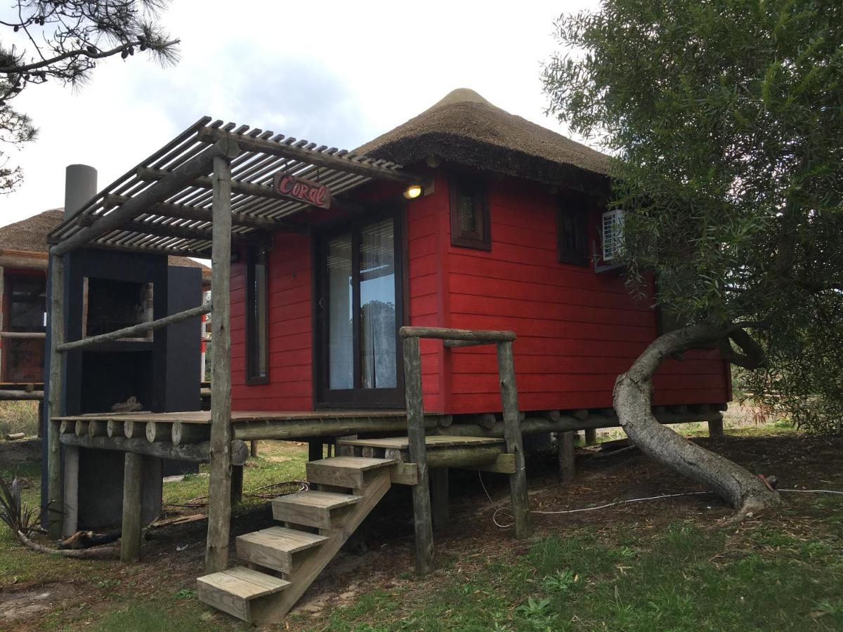 Coral - B&B