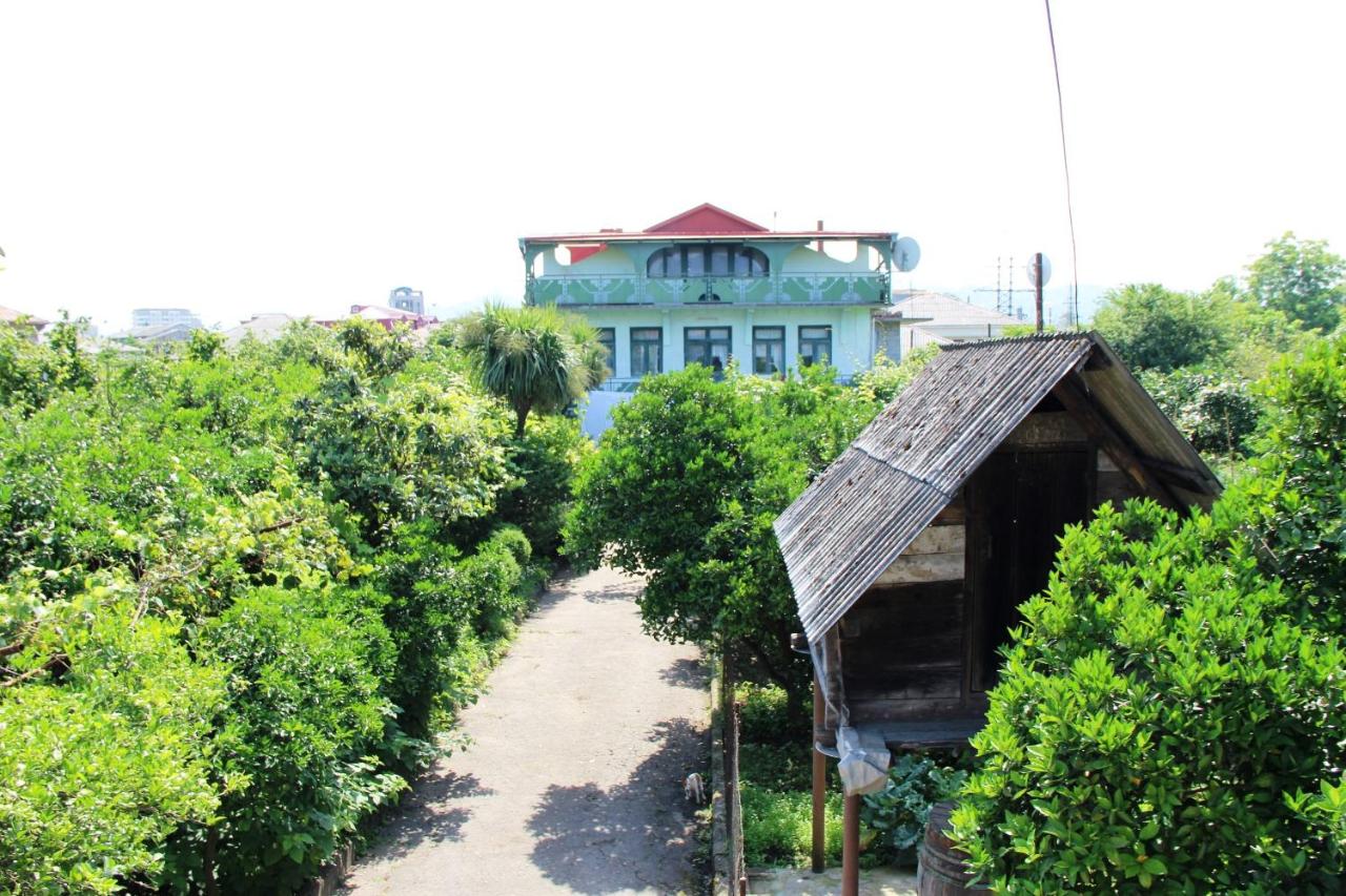 B&B Batoemi - Guesthouse Green House - Bed and Breakfast Batoemi