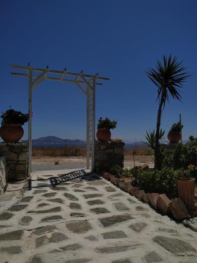 Studio (4 Volwassenen)