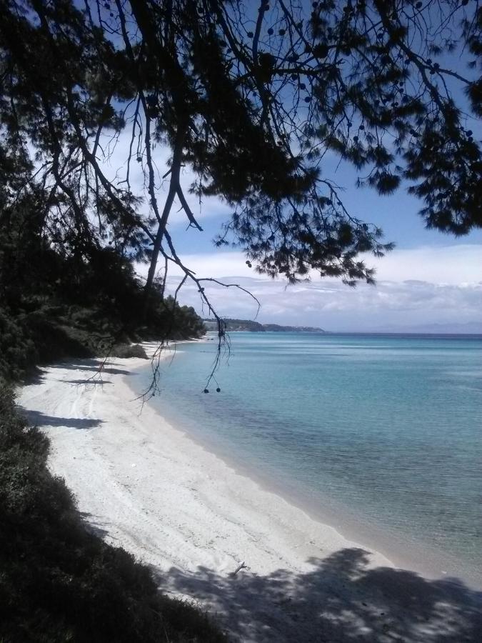 Apartment mit Meerblick