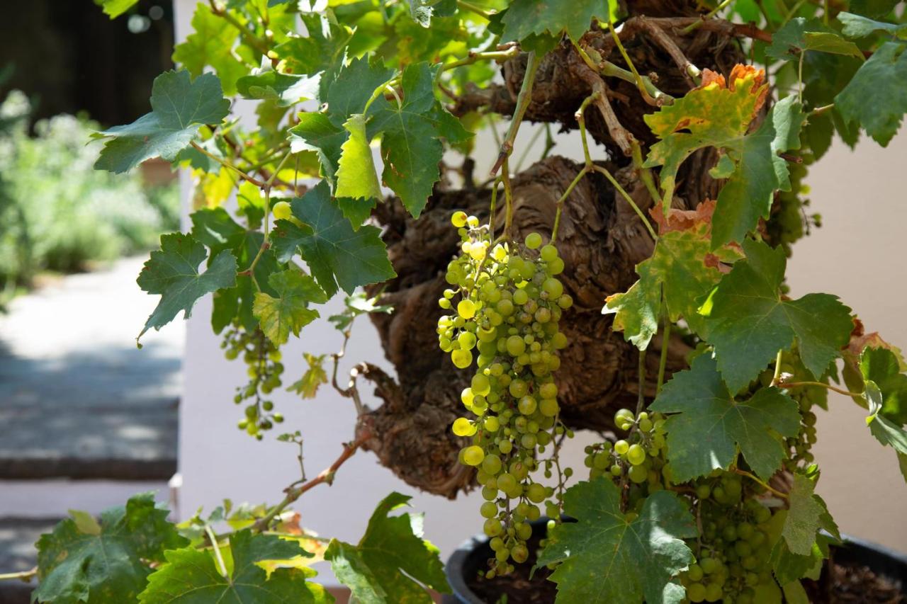 Xenia House Sorrento - Chambres d’hôtes Sorrente