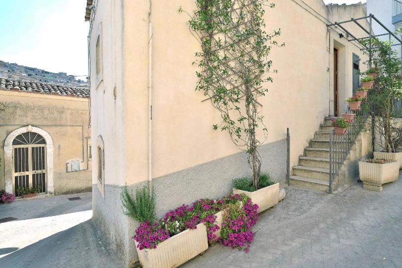 Casa Vasa - Ferienwohnung